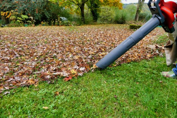 Leaf Vacuuming Service in Springfield