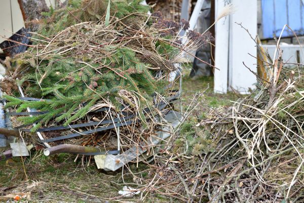 Cost of Yard Debris Removal in Springfield