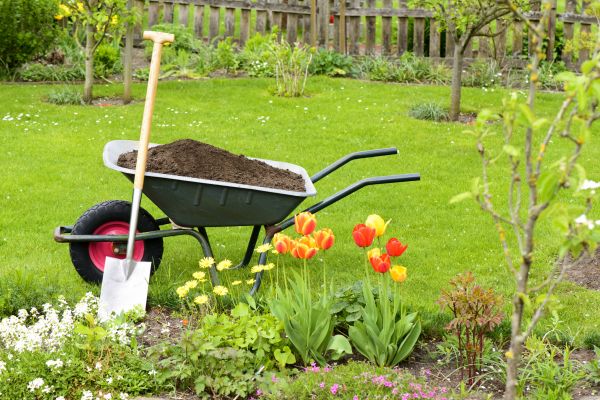 Spring Yard Cleanup in Springfield