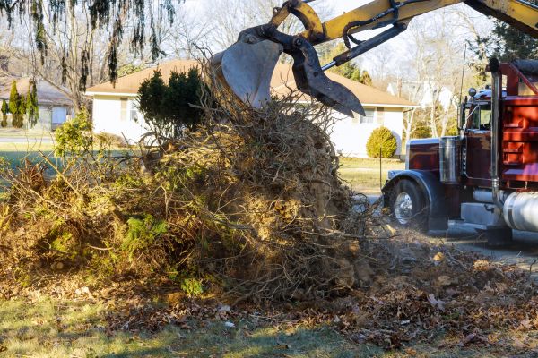 Cost of Storm Debris Removal in Springfield