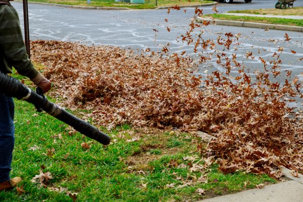 Garden Leaf Removal in Springfield