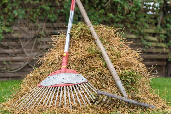 Pine Straw Clearing in Springfield