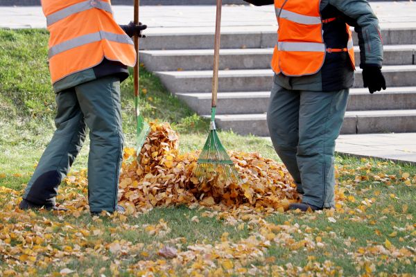 Leaf Hauling Service in Springfield