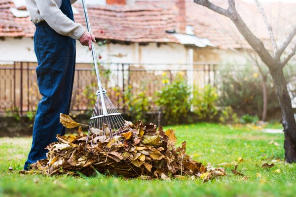 Spring Lawn Cleanup in Springfield