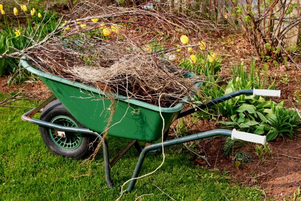 Cost of Lawn Waste Removal in Springfield
