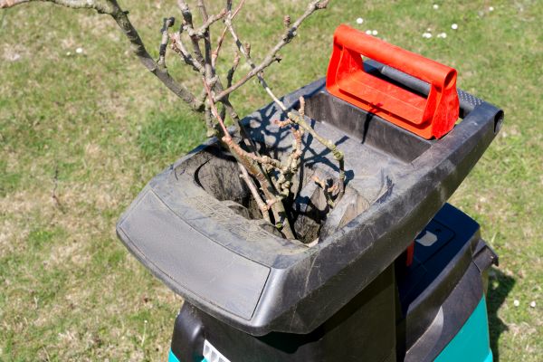 Cost of Brush Cleanup Service in Springfield