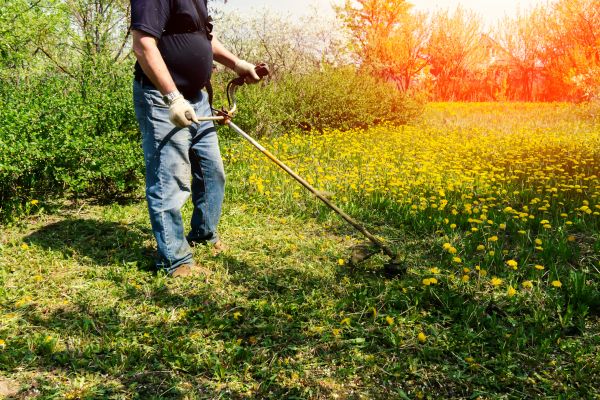 Yard Clearing Service in Springfield