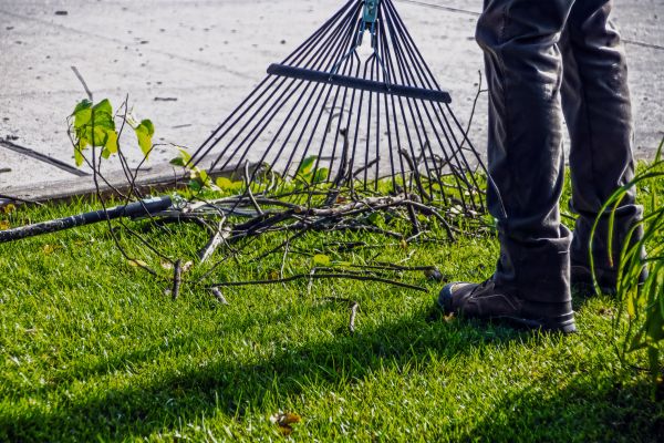 Yard Debris Cleanup in Springfield