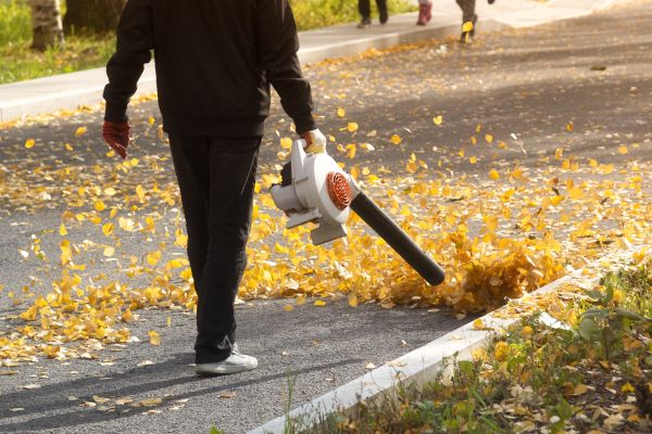 Cost of Commercial Leaf Removal in Springfield