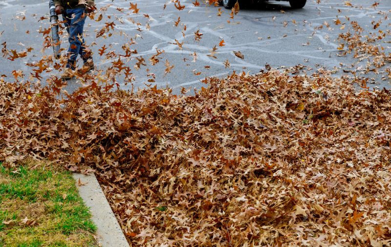 Commercial Leaf Removal