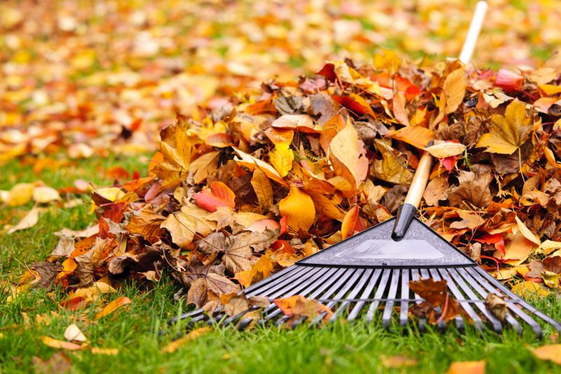 Fall Lawn Cleanup Service