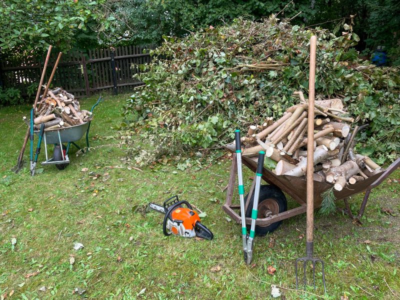 Storm Debris Removal